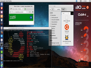 Unity Conky Lua e Screenfetch no Unity - modo gr&aacute;fico e modo texto de uma mesma coisa
